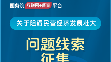 鸡吧com国务院“互联网+督查”平台公开征集阻碍民营经济发展壮大问题线索